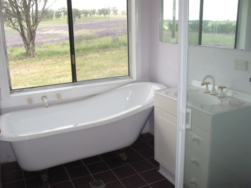 31 Magill Lane, Parkes NSW 2870