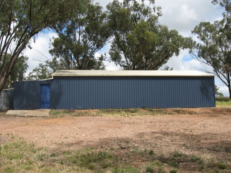31 Magill Lane, Parkes NSW 2870