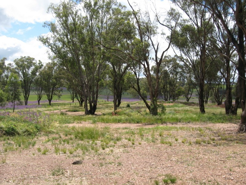 31 Magill Lane, Parkes NSW 2870