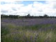 31 Magill Lane, Parkes NSW 2870