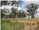 31 Magill Lane, Parkes NSW 2870