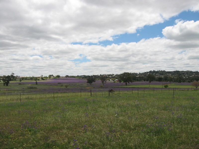 Lot 24 Field Road, Parkes NSW 2870