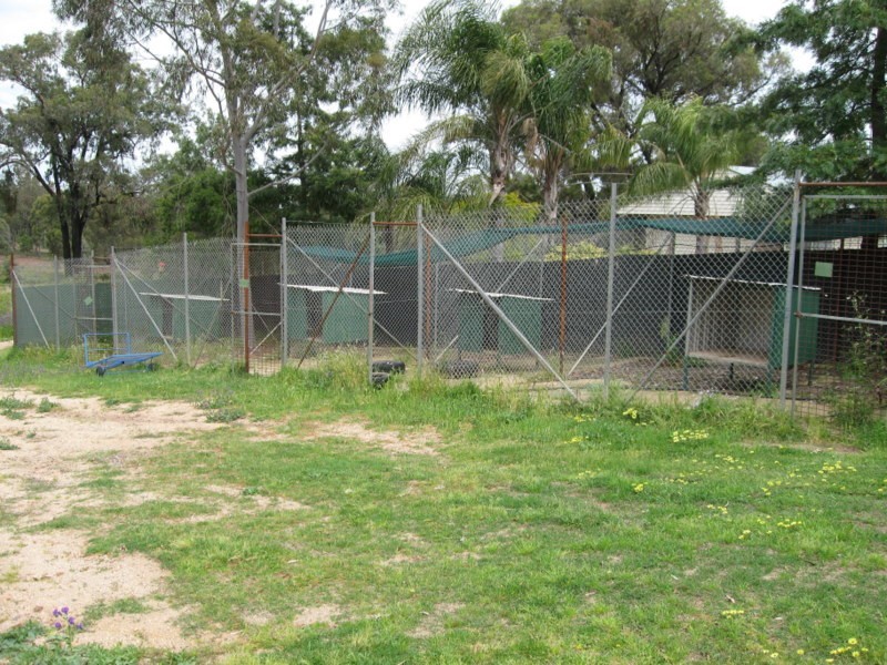 Cookamidgera NSW 2870