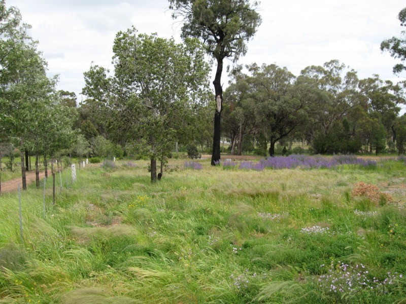 Cookamidgera NSW 2870