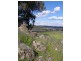 Lot 1135 Mackeys Creek Road, Eugowra NSW 2806