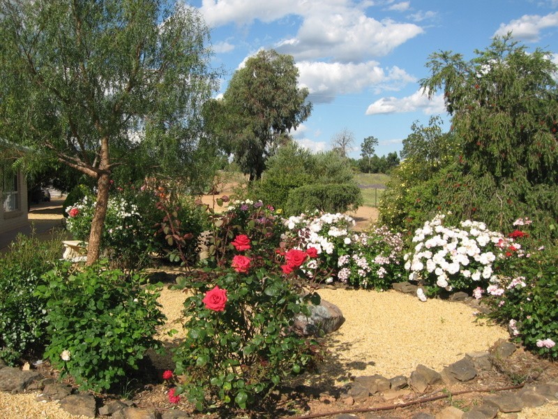 Alectown NSW 2870