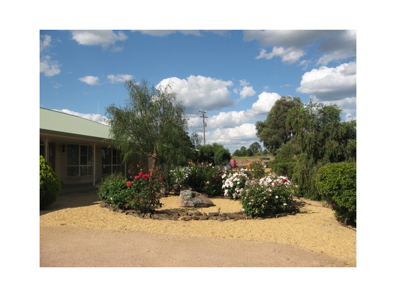 Alectown NSW 2870