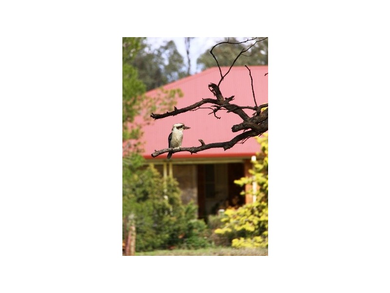 17 Kelly Road, Parkes NSW 2870