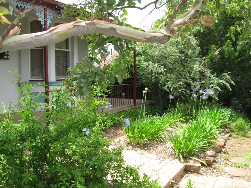 15 Albert Street, Parkes NSW 2870