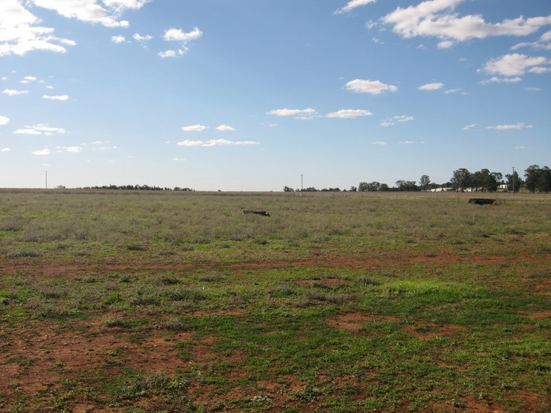 Lot 4 Ballerdee Lane, Parkes NSW 2870