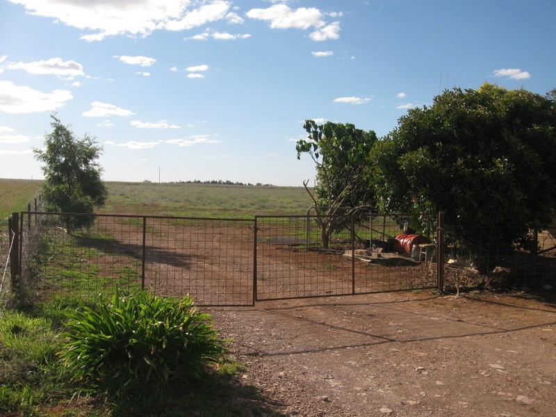 Lot 4 Ballerdee Lane, Parkes NSW 2870