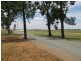 96 Nanardine Lane, Parkes NSW 2870
