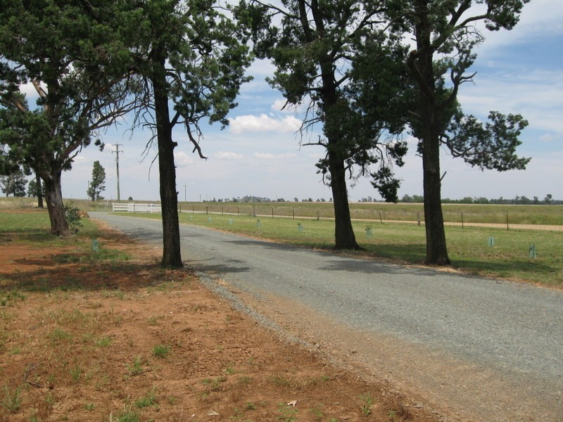 96 Nanardine Lane, Parkes NSW 2870