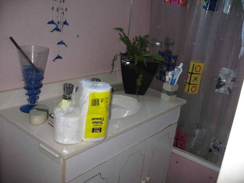 19  Mingelo Street, Peak Hill NSW 2869