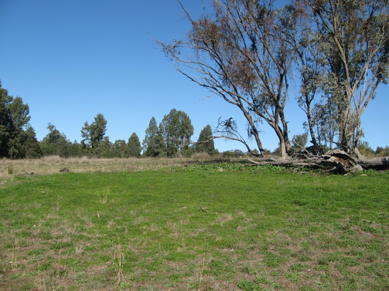 Lot 89 Amaroo Way, Parkes NSW 2870