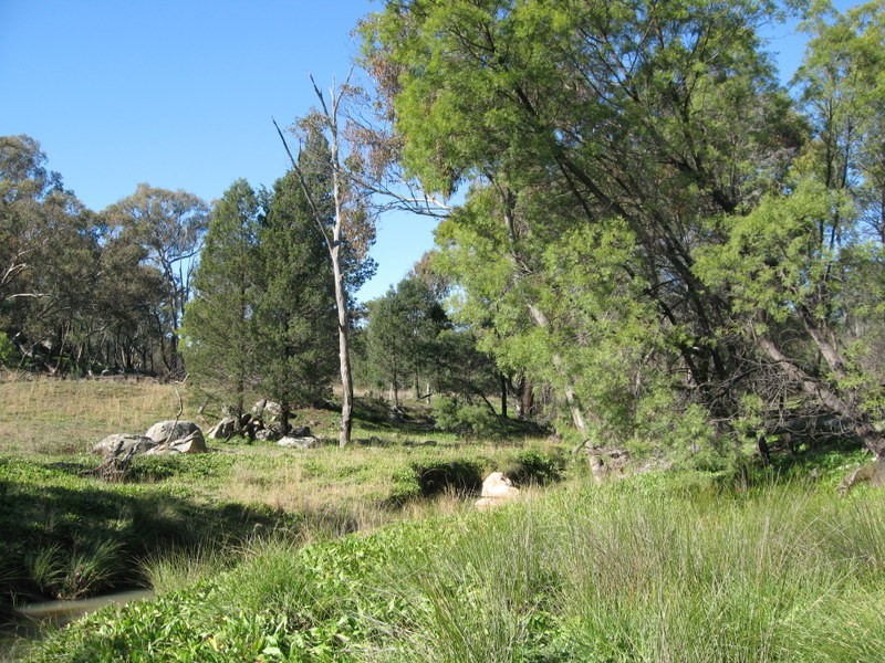 Lot 89 Amaroo Way, Parkes NSW 2870