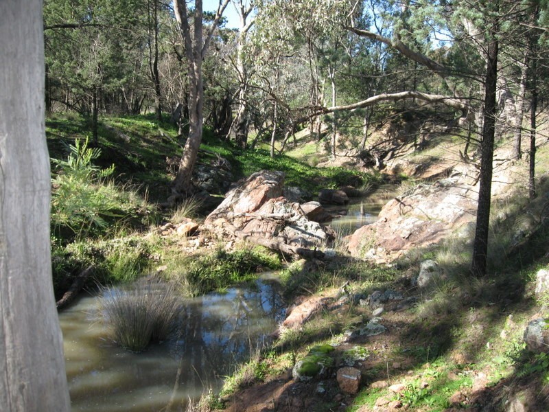 Lot 89 Amaroo Way, Parkes NSW 2870