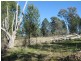 Lot 89 Amaroo Way, Parkes NSW 2870