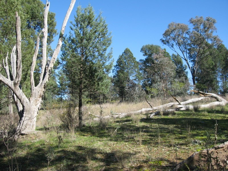 Lot 89 Amaroo Way, Parkes NSW 2870