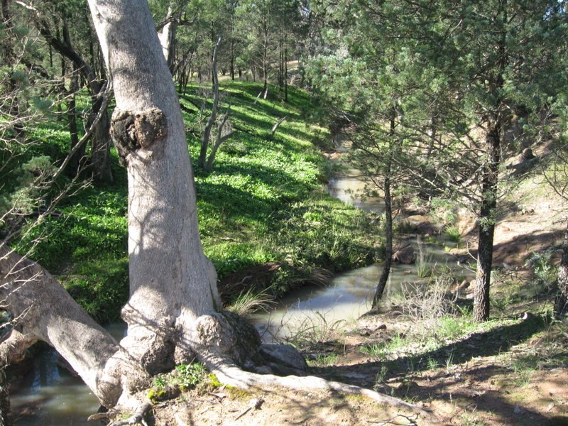 Lot 89 Amaroo Way, Parkes NSW 2870