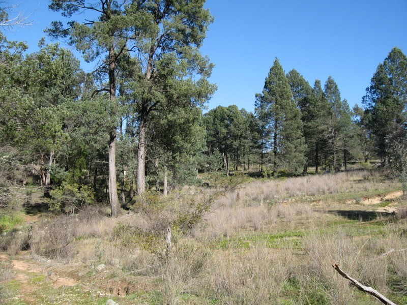 Lot 89 Amaroo Way, Parkes NSW 2870