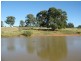 313 Lake Endeavour Road, Parkes NSW 2870