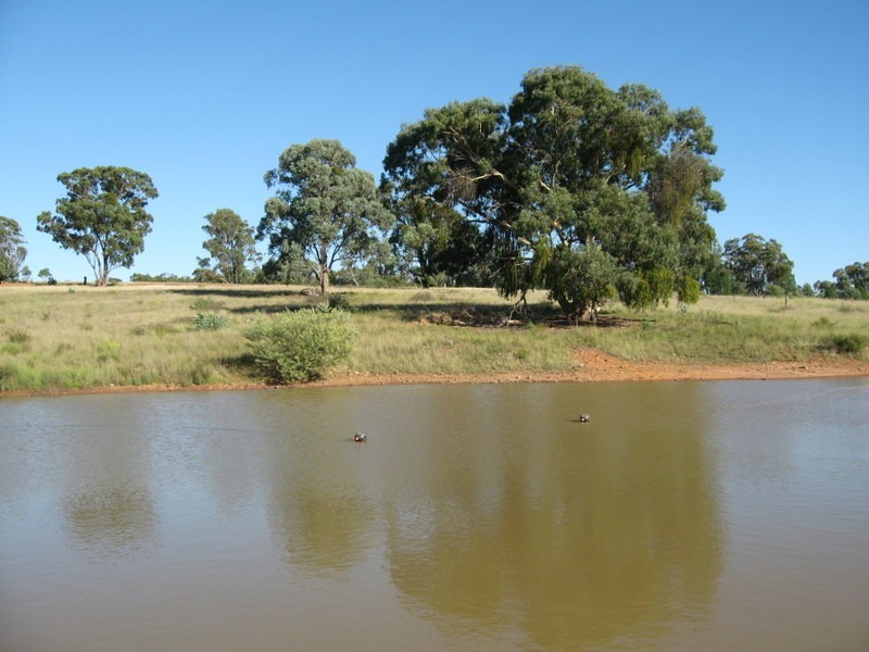 313 Lake Endeavour Road, Parkes NSW 2870
