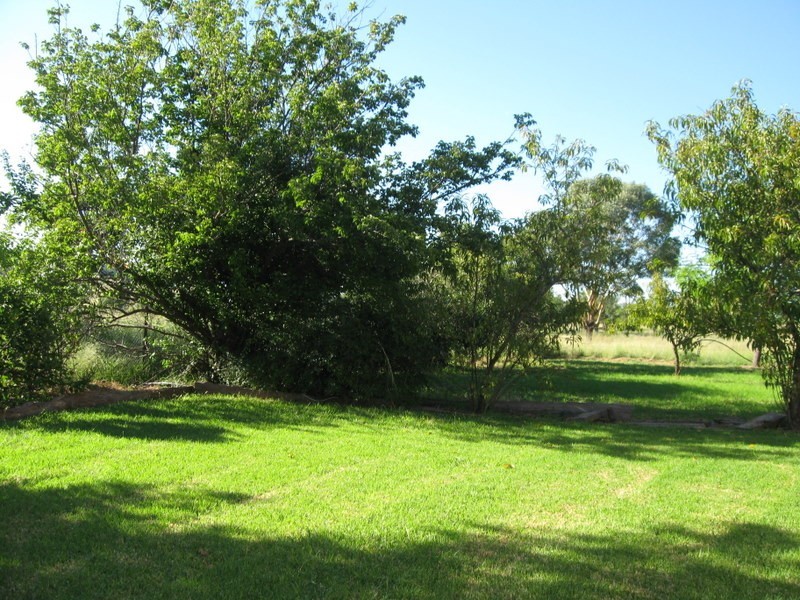 313 Lake Endeavour Road, Parkes NSW 2870