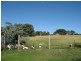 313 Lake Endeavour Road, Parkes NSW 2870