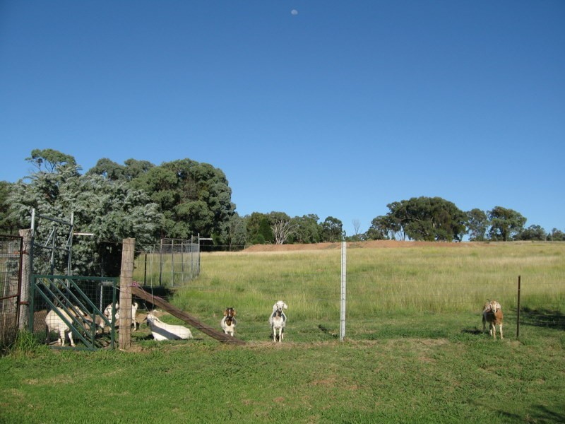 313 Lake Endeavour Road, Parkes NSW 2870