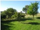 313 Lake Endeavour Road, Parkes NSW 2870