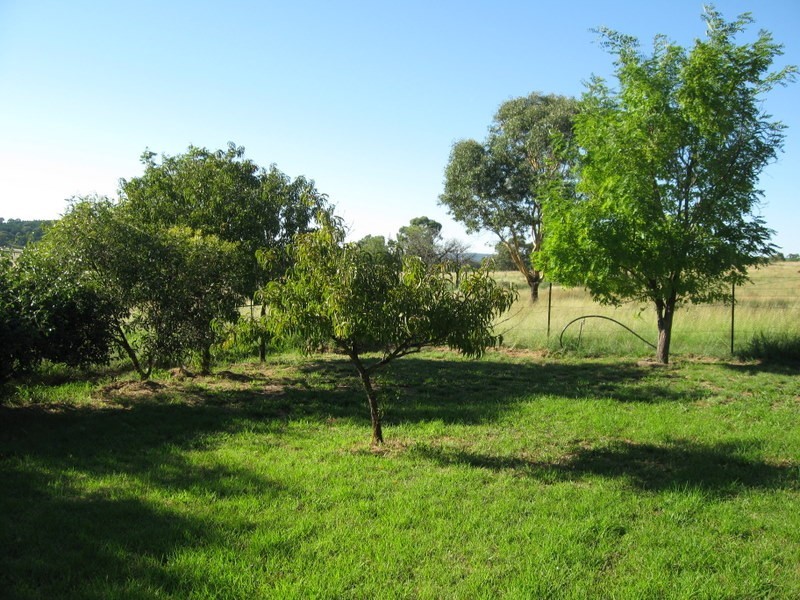 313 Lake Endeavour Road, Parkes NSW 2870