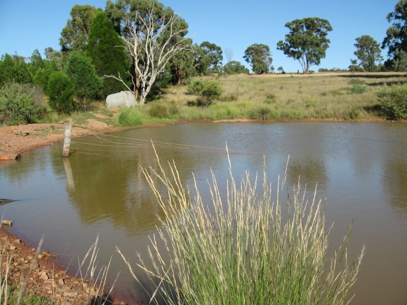 313 Lake Endeavour Road, Parkes NSW 2870