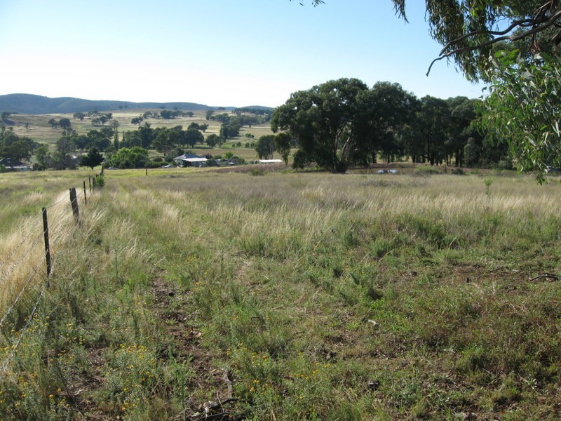 313 Lake Endeavour Road, Parkes NSW 2870