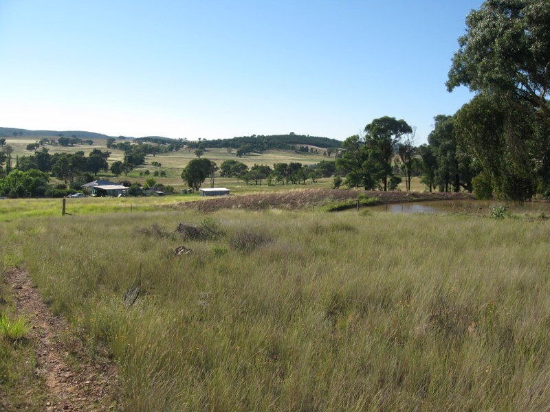 313 Lake Endeavour Road, Parkes NSW 2870