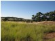 313 Lake Endeavour Road, Parkes NSW 2870