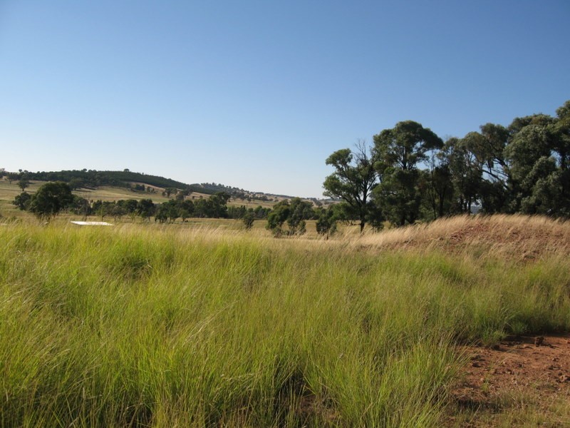 313 Lake Endeavour Road, Parkes NSW 2870
