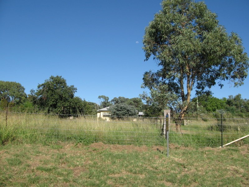 313 Lake Endeavour Road, Parkes NSW 2870