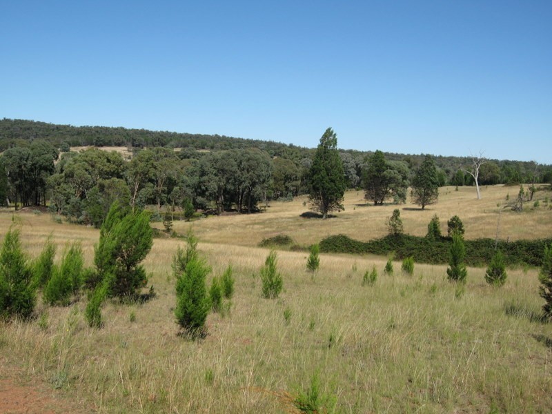 782 Staircase Road, Parkes NSW 2870
