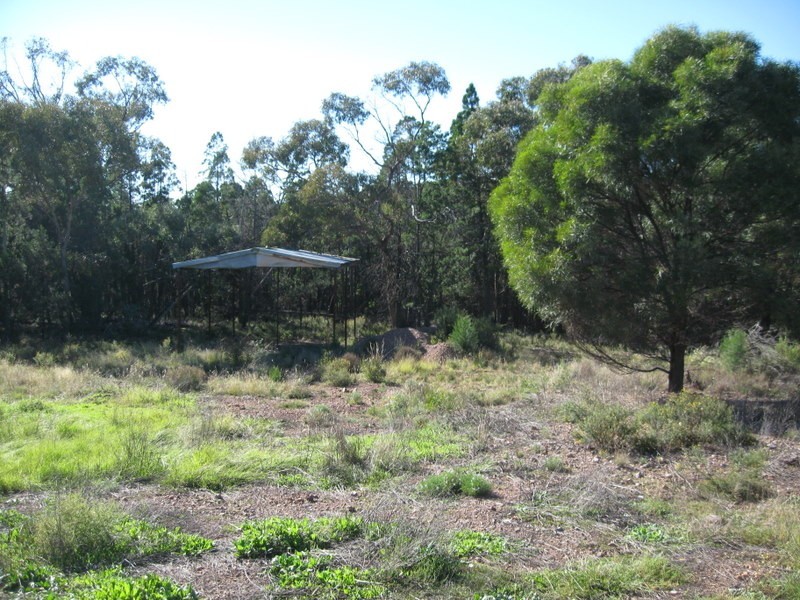 782 Staircase Road, Parkes NSW 2870