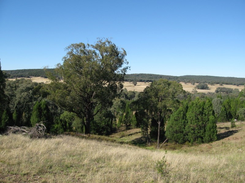 782 Staircase Road, Parkes NSW 2870