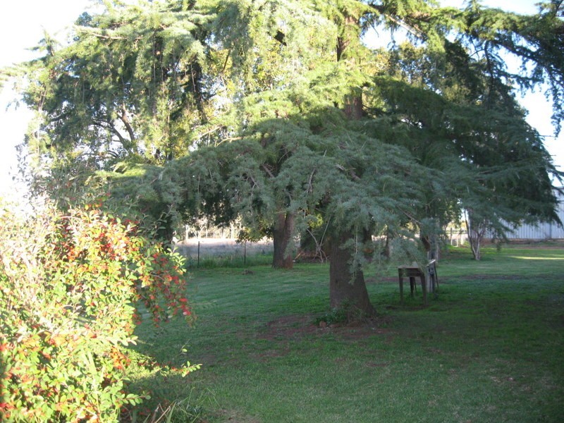 109 Woodward Street, Parkes NSW 2870