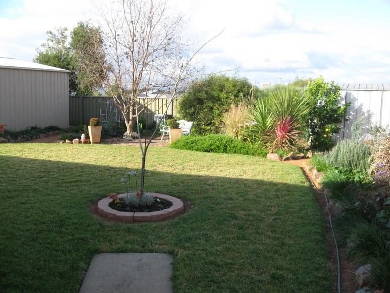 31 Danilenko Street, Parkes NSW 2870