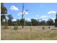 Trundle NSW 2875