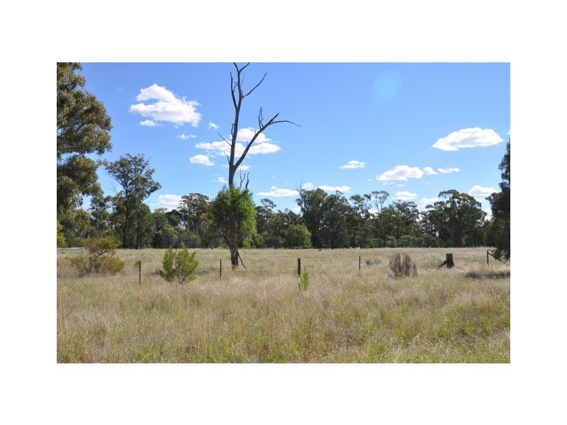 Trundle NSW 2875
