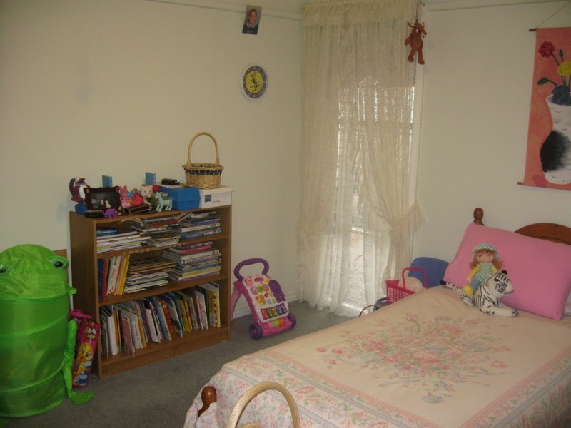 28 Mingelo Street, Peak Hill NSW 2869