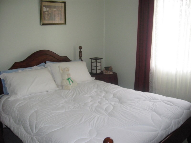 28 Mingelo Street, Peak Hill NSW 2869