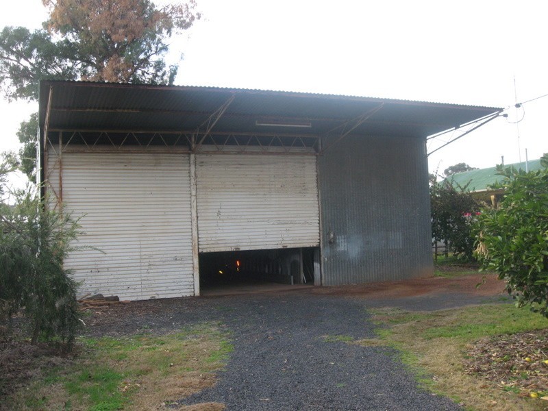 28 Mingelo Street, Peak Hill NSW 2869