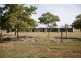 0 Warrigal Road, Peak Hill NSW 2869