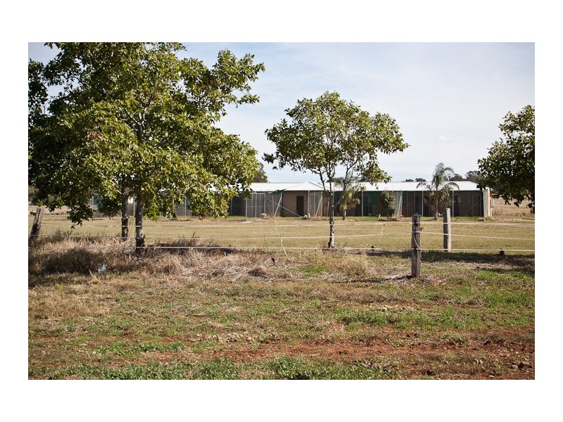 0 Warrigal Road, Peak Hill NSW 2869